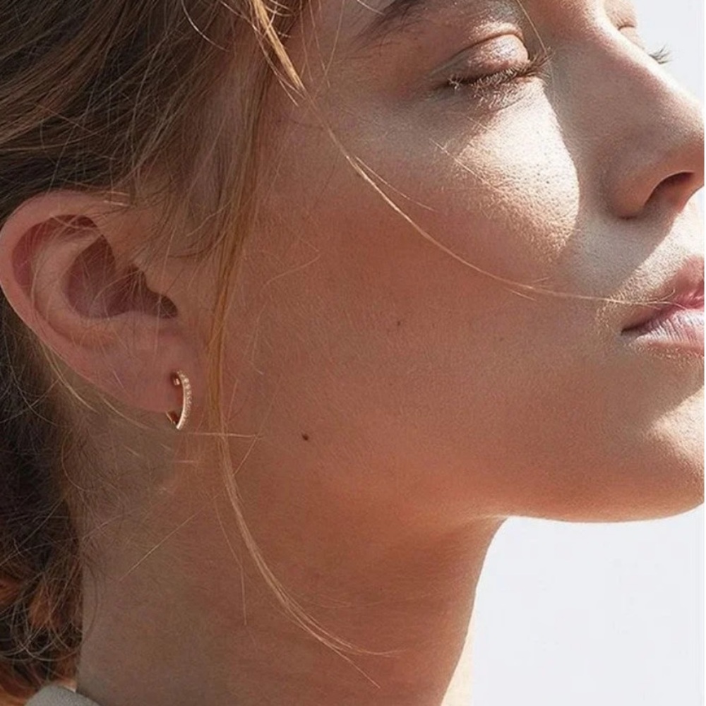 Brand new in box earrings - Picture 4 of 9